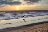 Jekyll Island Morning