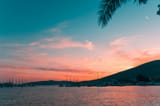 pexels-hertwashere-12644214