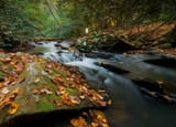 Bear Creek