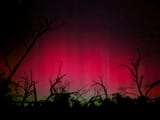 aurora_2024-05-10_1715476996977172