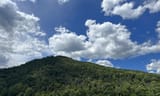 windows_xp_ny_bliss_wallpaper_by_sambox436_dfocncm