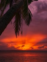 ahmed-saeed-DiVO74xOo8c-unsplash