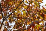 IMG_4005