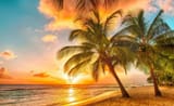 beach_palm_trees_tropical_sunset_1920x1183