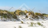 beachscape_by_igenu_dcjx9dz