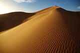 Sahara