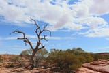 desert