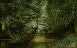 Grigoriy Grigoryevich Myasoyedov - Forest River