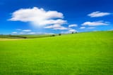 field