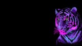 Lilac Tiger by Alberto Perez