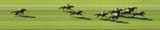 photofinish