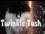 Twinkle-Tush