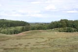 Österlen landscape I