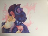 ryan-barry-perception