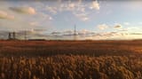 An endless golden field of swampy reeds by sunset light New Jersey Meadowlands