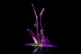 Audio stimulated paint 1