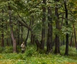 boris_shcherbakov_-_tolstoy_in_the_forest__1977