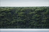 Orilla y cielo gris - Tomas Sanchez