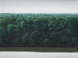 Orilla en día claro y gris - Tomas Sanchez
