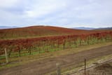 sonoma wine country, california