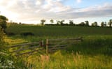 Taken in the Scottish Borders