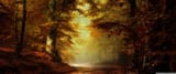 beautiful_autumn_landscape_4-wallpaper-3440x1440