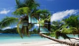 tropicalis_2_by_igenu_dd1noyo