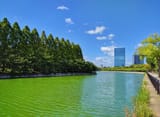 Osaka Castle Park