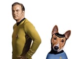 captain kirk and spot