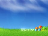 23503422189_fd695d8635_o