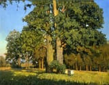 nikolay_anokhin_-_old_oaks__1999