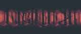 1593272061360