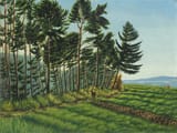 adolf_dietrich_-_edge_of_the_forest_near_langenargen__1917