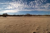 Sandswept