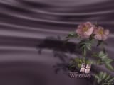 Rose Ed