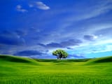 Where_Are_You_Going