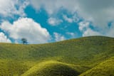 tea_plantation_in_the_hills_of_munnar