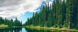 MirrorPond