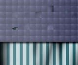 carnivalpanel-desatblue