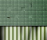 carnivalpanel-forestgreen