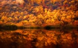 Nockamixon State Park_PA
