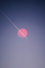 1622162216824