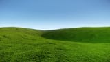 Grass_Field