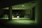 NightWalk-18
