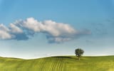 tree-clouds-hill-green-wallpaper