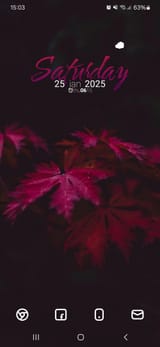 Screenshot_20250125_150357_Nova Launcher