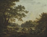 william_ashford_-_a_weir_on_the_river_clodiagh_at_charleville_forest
