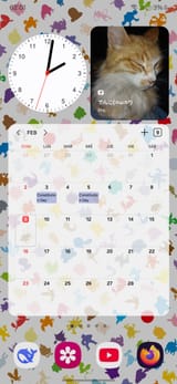 Screenshot_20250209_020133_One UI Home