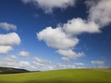 Blue-Skies-And-Green-Pastures-Wallpaper-1600x1200