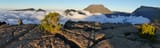 dinosaurIsland51633080294_642955294f_6k